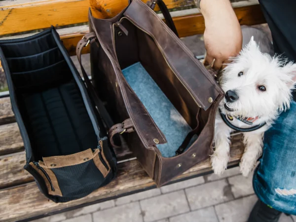Designed for both fashion and functionality, this high-end leather pet carrier allows you to travel in style with your furry friend. This all-in-one pet travel bag provides a safe, cosy, and stylish way to take your dog or cat with you, whether you're going to the vet, going on a weekend trip, or just going for a stroll. This dog tote bag carrier is made of premium leather and has a roomy, airy interior, sturdy handles, and a plush lining for your pet's comfort. While the multipurpose pockets provide room for snacks, leashes, and necessities, the structural design maintains its shape. It's ideal for small to medium-sized pets and blends in perfectly with your everyday routine. You may use it as a dog walking bag, cat carrier, or easy travel bag for dogs.