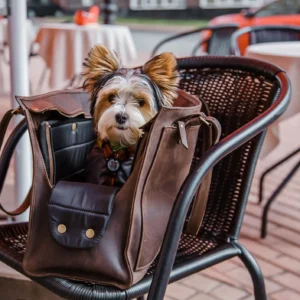 Designed for both fashion and functionality, this high-end leather pet carrier allows you to travel in style with your furry friend. This all-in-one pet travel bag provides a safe, cosy, and stylish way to take your dog or cat with you, whether you're going to the vet, going on a weekend trip, or just going for a stroll. This dog tote bag carrier is made of premium leather and has a roomy, airy interior, sturdy handles, and a plush lining for your pet's comfort. While the multipurpose pockets provide room for snacks, leashes, and necessities, the structural design maintains its shape. It's ideal for small to medium-sized pets and blends in perfectly with your everyday routine. You may use it as a dog walking bag, cat carrier, or easy travel bag for dogs.