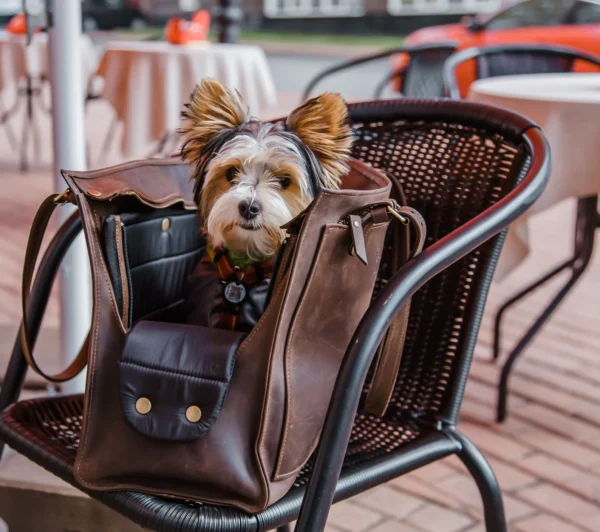 Designed for both fashion and functionality, this high-end leather pet carrier allows you to travel in style with your furry friend. This all-in-one pet travel bag provides a safe, cosy, and stylish way to take your dog or cat with you, whether you're going to the vet, going on a weekend trip, or just going for a stroll. This dog tote bag carrier is made of premium leather and has a roomy, airy interior, sturdy handles, and a plush lining for your pet's comfort. While the multipurpose pockets provide room for snacks, leashes, and necessities, the structural design maintains its shape. It's ideal for small to medium-sized pets and blends in perfectly with your everyday routine. You may use it as a dog walking bag, cat carrier, or easy travel bag for dogs.